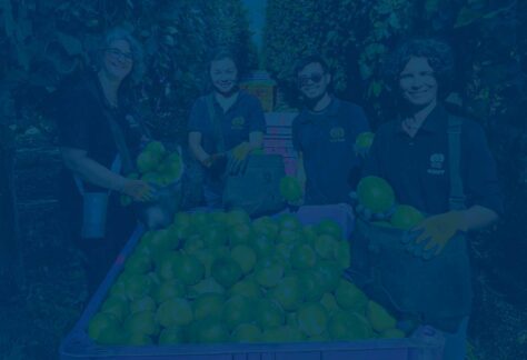 Ehrenamtlich helfen - mehrere Frauen und ein Mann stehen an einer Ladefläche eines wagens, auf dem Obst geladen ist