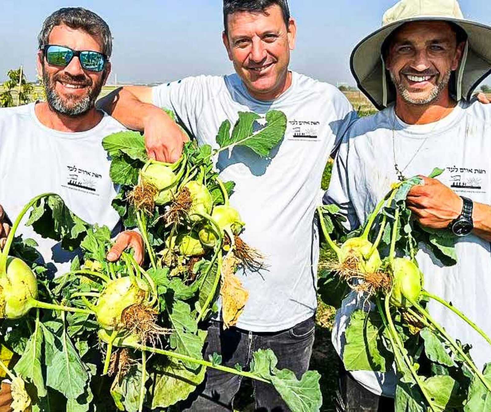 Drei Männer mit weißen T-Shirts stehen nebeneinander, zwei halten geerntete Kohlrabis in den Händen