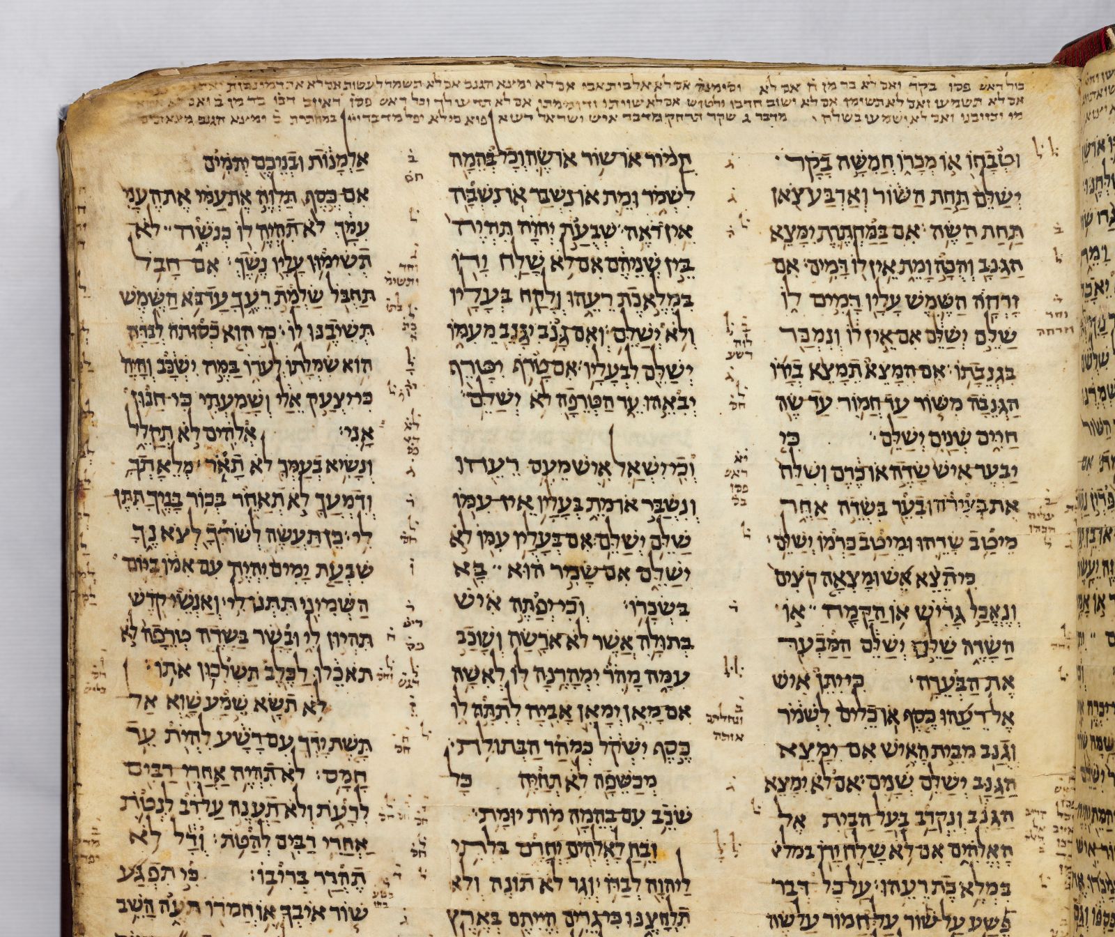 Auf verblichenem, geblichen Pergamentpapier stehen die Geschichten der Hebräischen Bibel in schwarzer Tinte geschrieben.