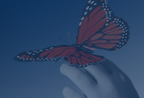 Bedenken Sie die ICEJ im Testament