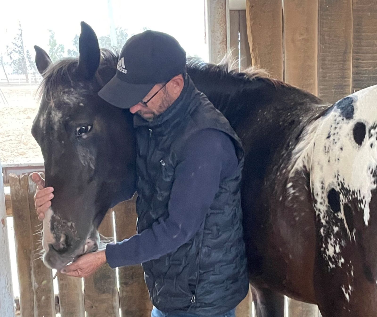 Rückkehr des Glück - ein Mann in der Box eines Pferdes, das er am Kopf hält