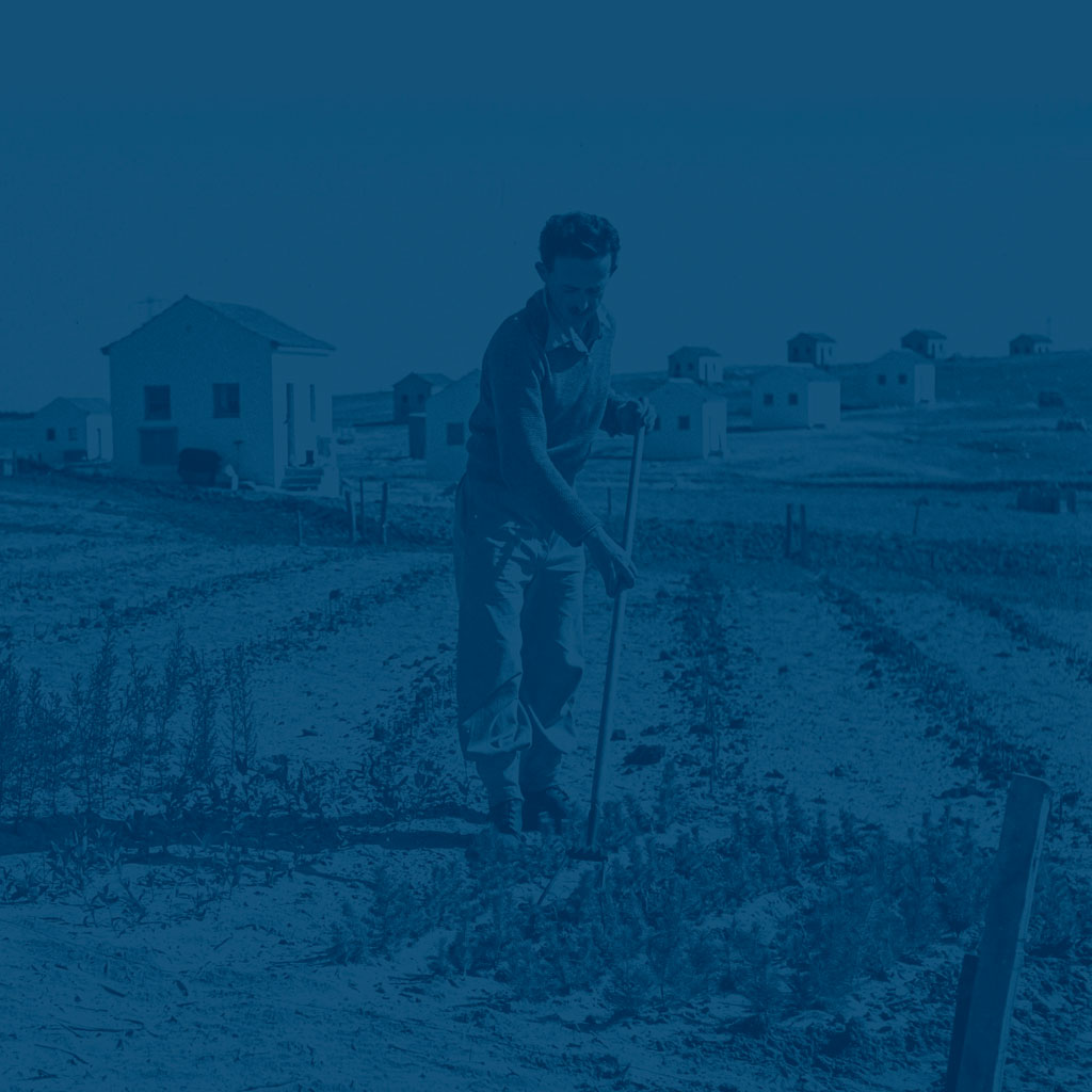 geschichte_israel_acker_und_saat_mobil