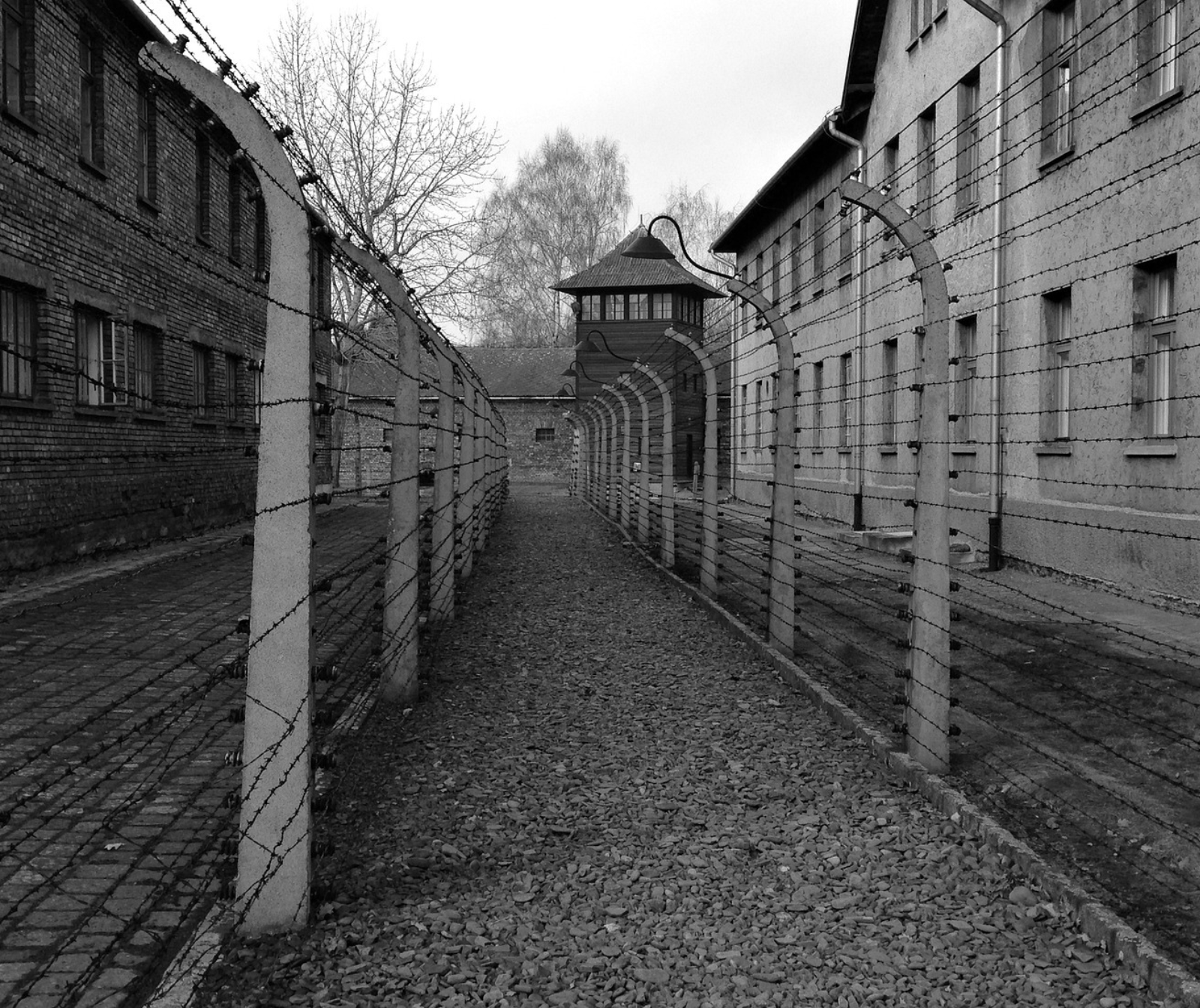 Stacheldraht umzäunter Weg zwischen zwei Baracken in Auschwitz