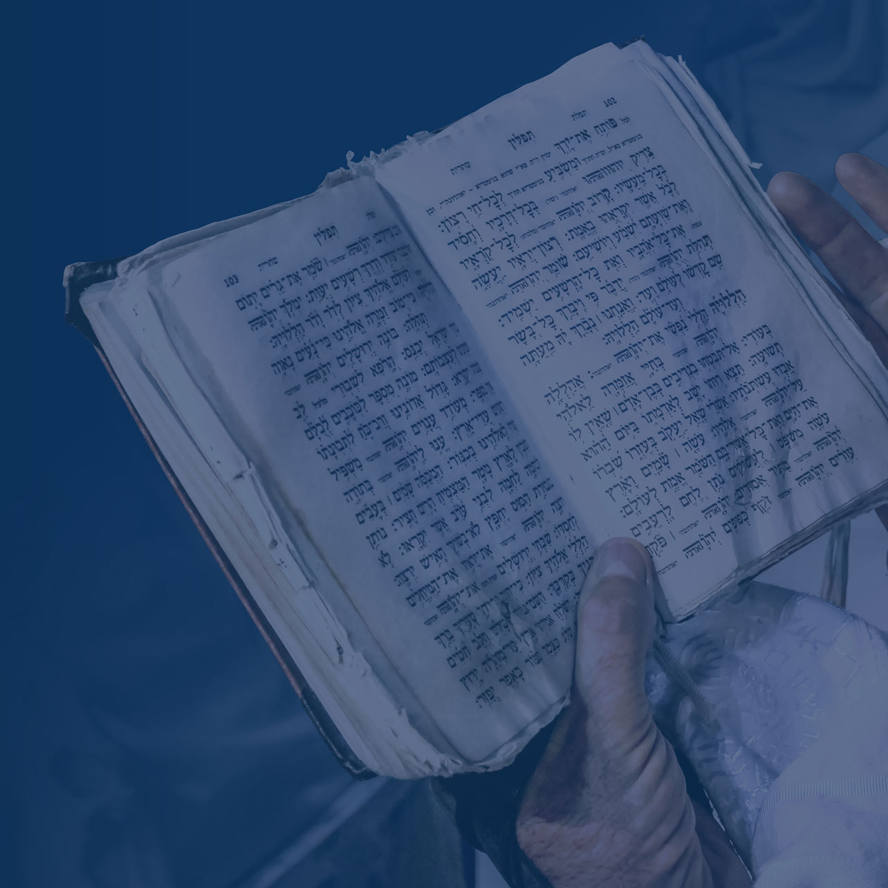 Neue_ICEJ-Webseite_Startseite_Taxonomien_Gott&Bibel_mobil