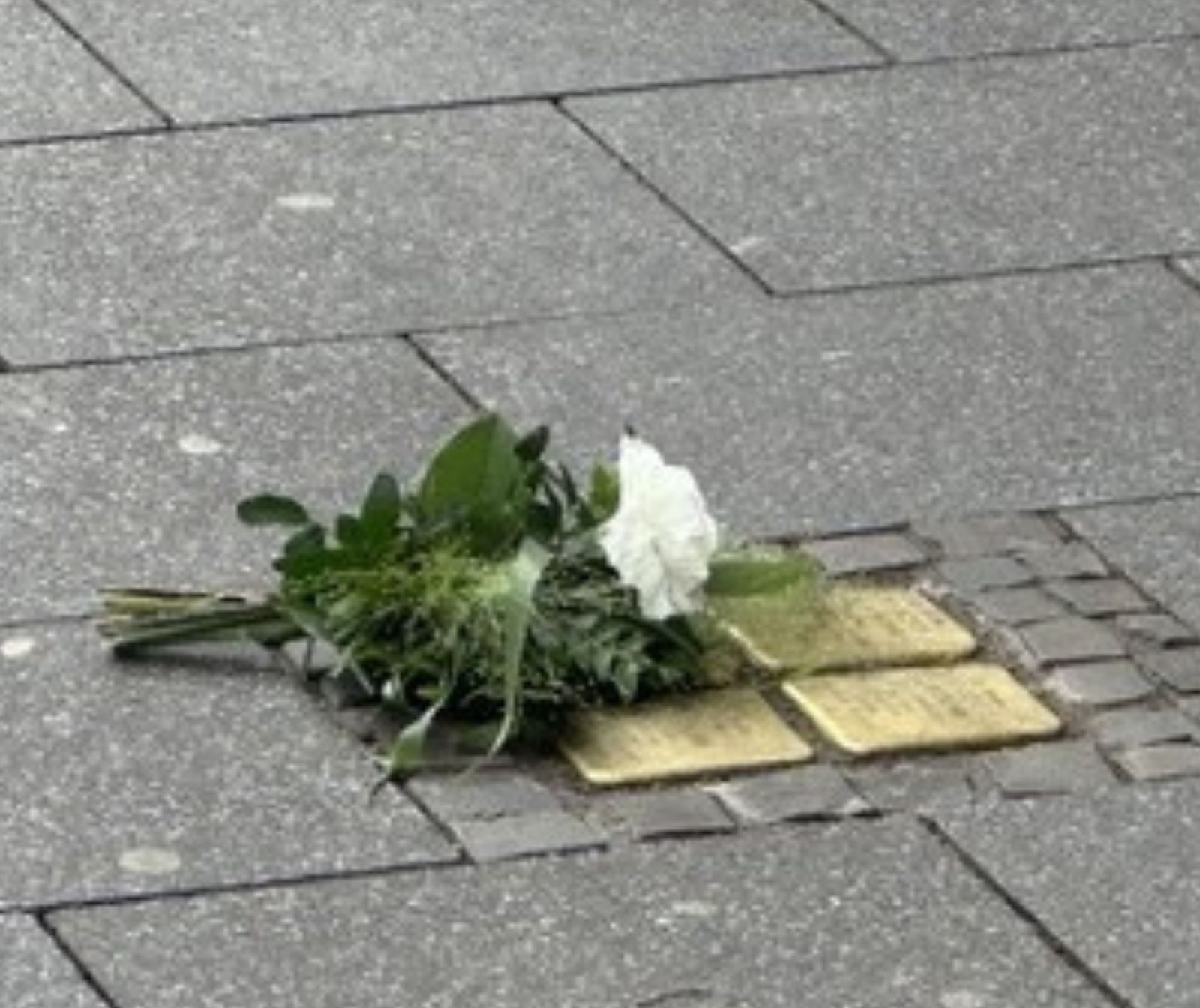 Reichspogromnacht: Angriff auf christliche Mahnwache - Stolpersteine im Asphalt, auf ihnen liegt eine weiße Rose