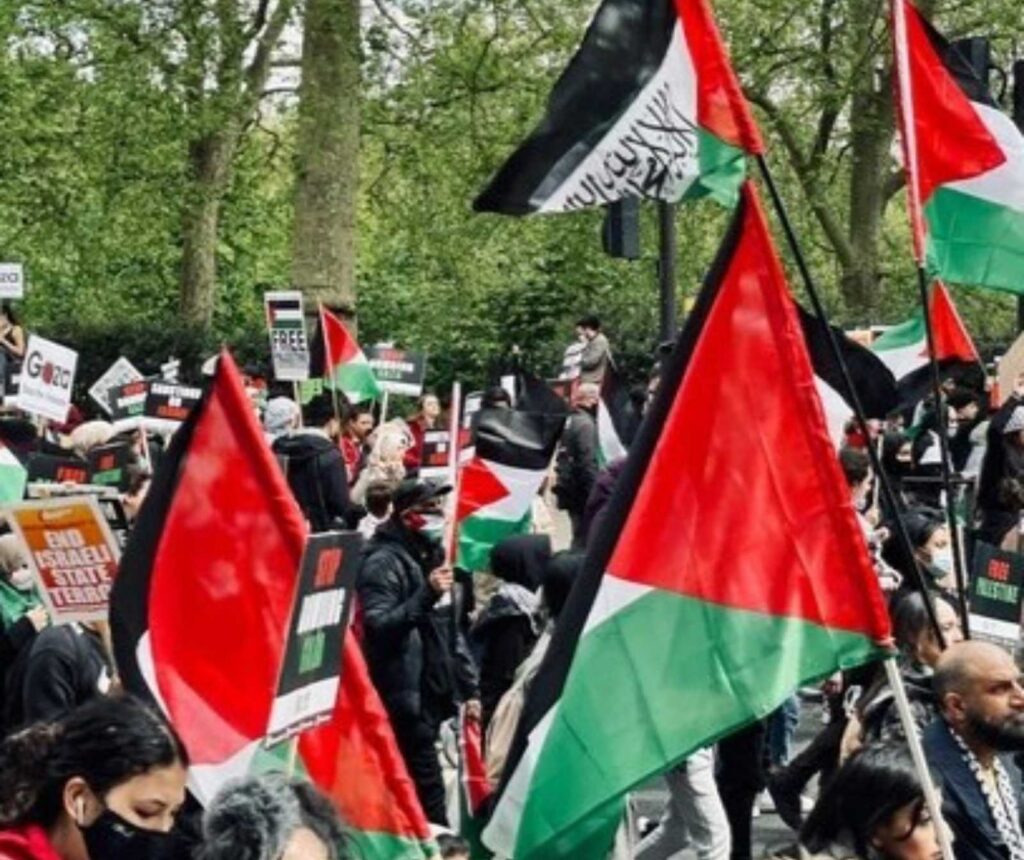 eine Menschenmenge mit vielen Palästina-Flaggen