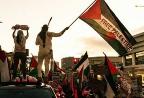 eine Gruppe von Menschen mit Palästinenser Fahnen. Zwei davon stehen auf dem Dach eines Fahrzeugs. Auf einer Flagge ist zu lesen: Free Palestine