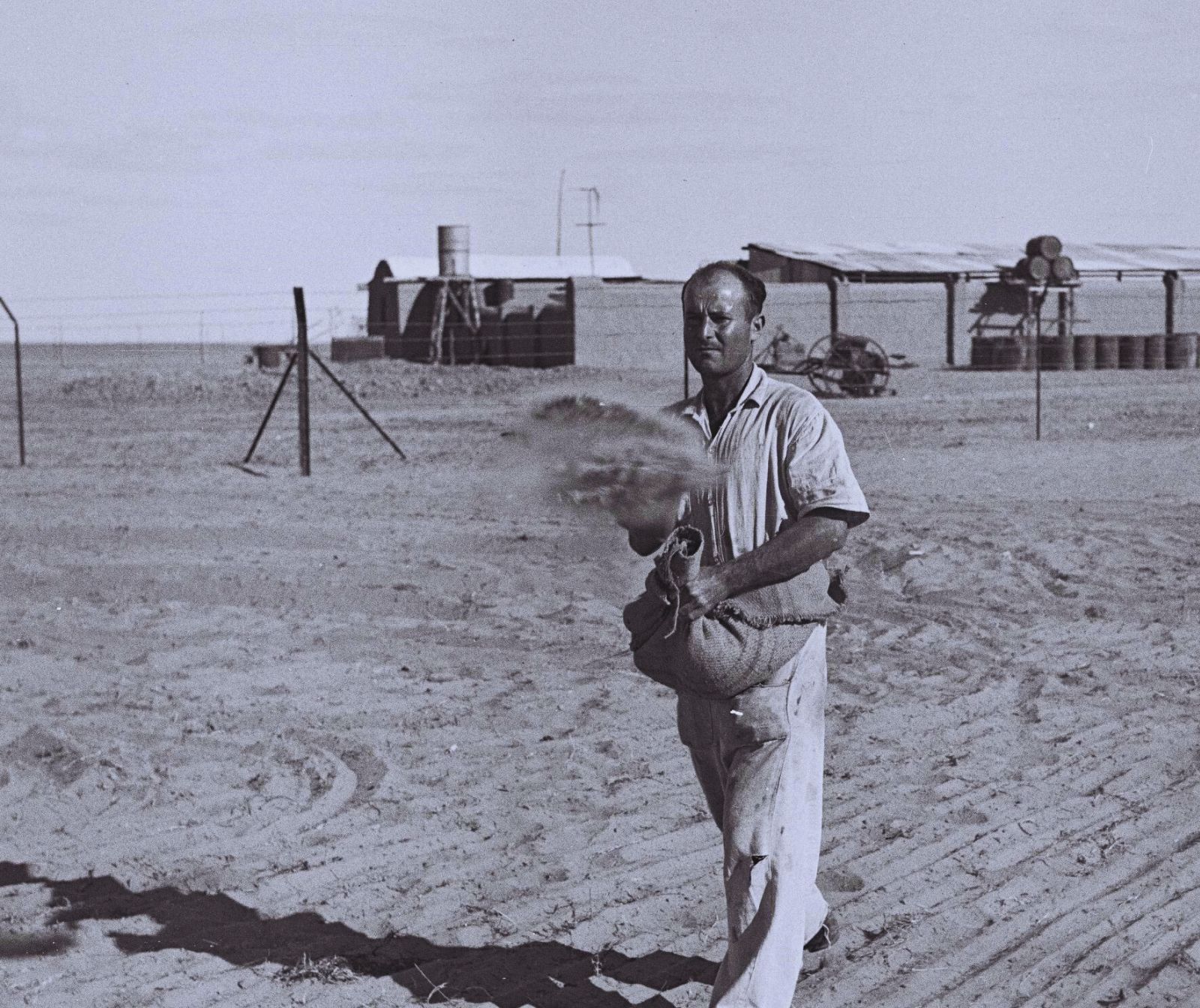 Aussaat im Negev Kibbuz Gvulot 1943 Kluger Zolten gpo