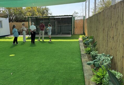 fünf Personen stehen draußen auf einem gepflegtem grünen Rasenabschnitt, der mit einem grünen Sonnensegel völlig bedeckt ist. Im Hintergrund steht ein Tiergehege
