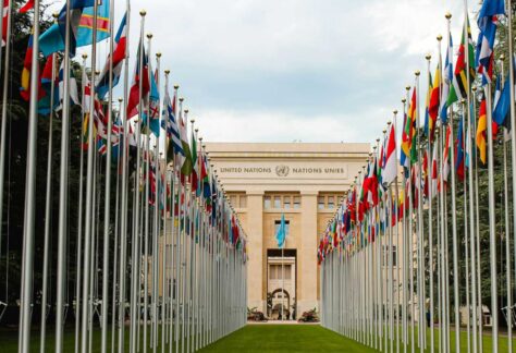 Blick auf eine Allee miit Flaggen vieler Länder, die zum gebäude der Vereinten Nationen führt. Das Gebäude steht zentral im Hintergrund.